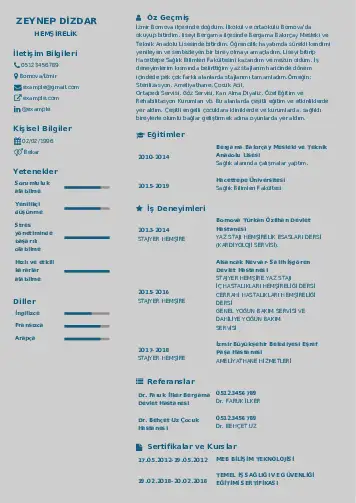 örnek cv indir